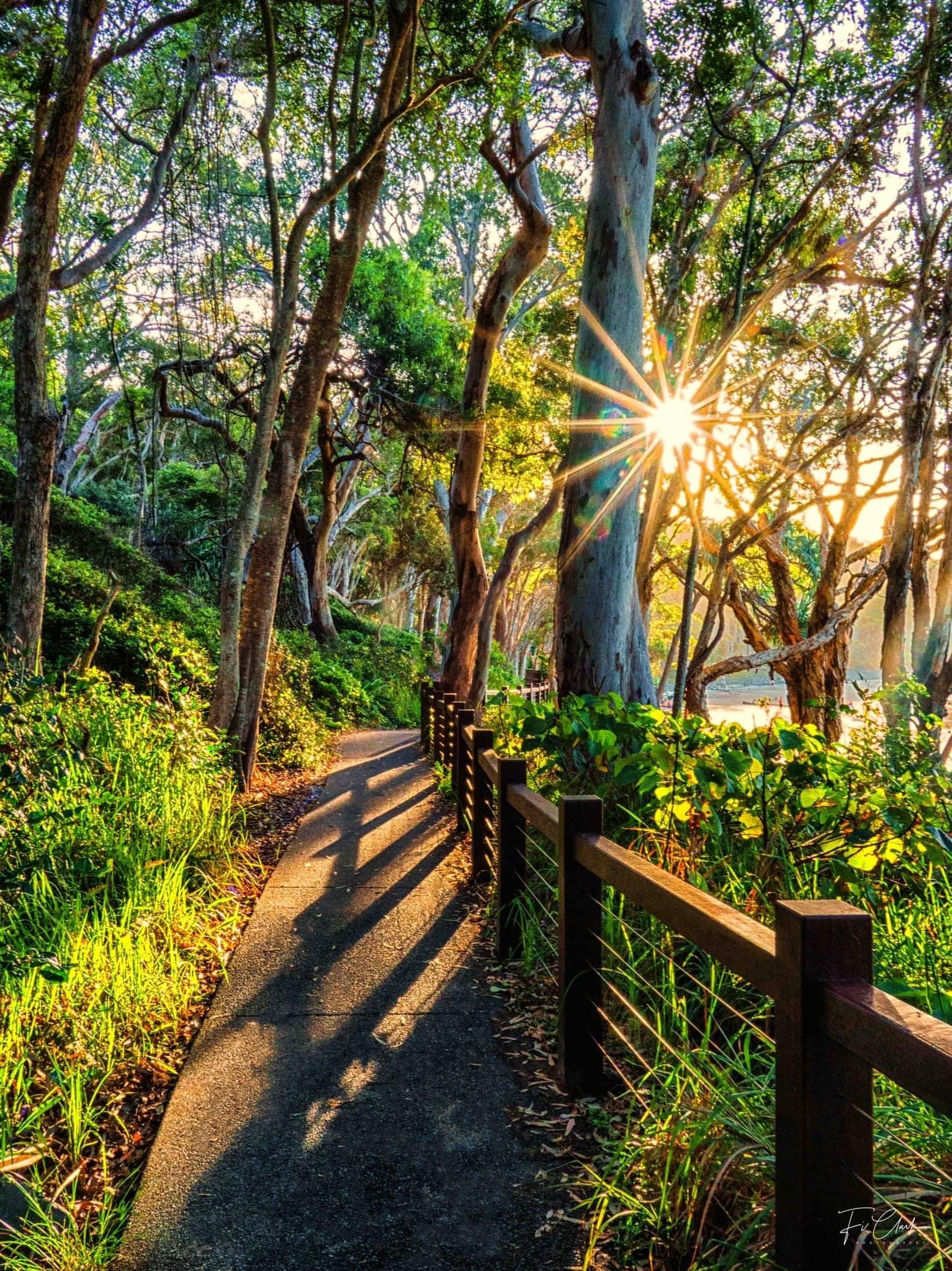 C799D1AF-B722-4903-AA22-2083C1991EDA